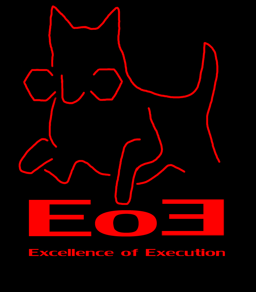 Excellence of Execution